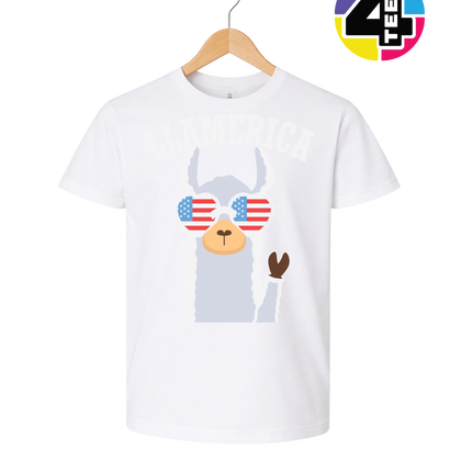 Llamerica Flag Shades Youth Tee
