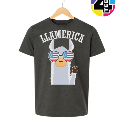 Llamerica Flag Shades Youth Tee