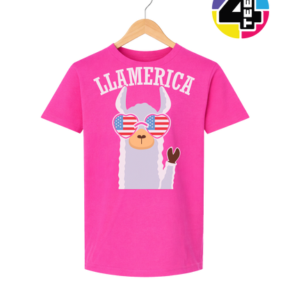 Llamerica Flag Shades Youth Tee