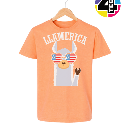 Llamerica Flag Shades Youth Tee