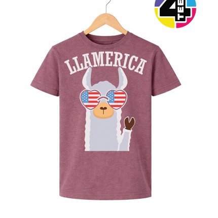 Llamerica Flag Shades Youth Tee