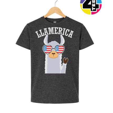 Llamerica Flag Shades Youth Tee