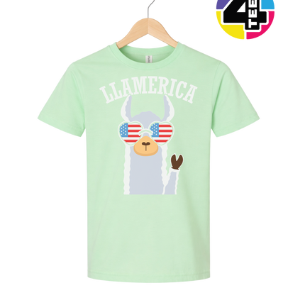 Llamerica Flag Shades Youth Tee