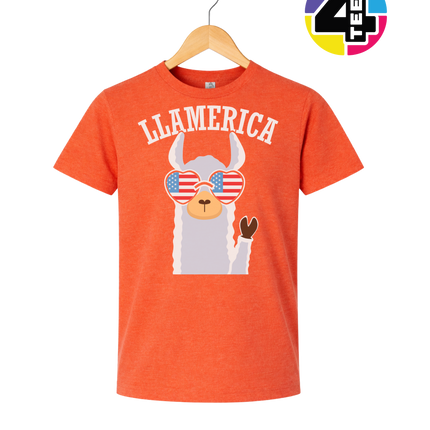 Llamerica Flag Shades Youth Tee