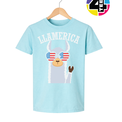 Llamerica Flag Shades Youth Tee