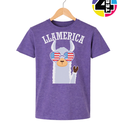 Llamerica Flag Shades Youth Tee
