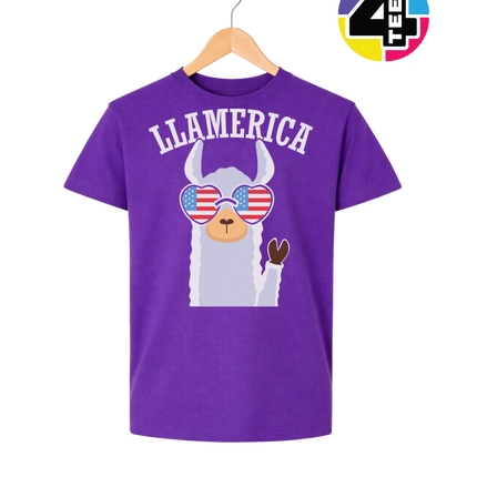Llamerica Flag Shades Youth Tee
