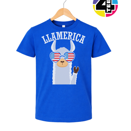 Llamerica Flag Shades Youth Tee