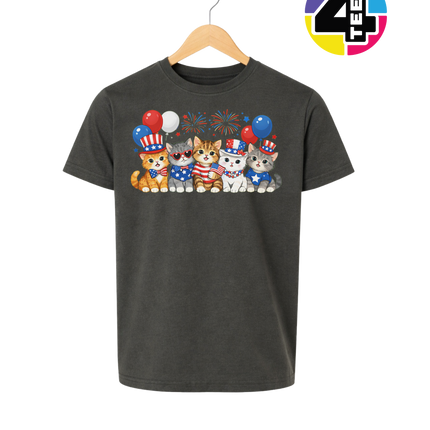 Patriotic Kitten Crew Youth Tee
