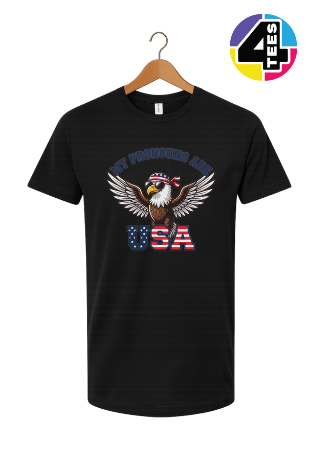Pronouns Are USA Eagle Tee