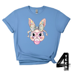 Carolina Blue / X-Small