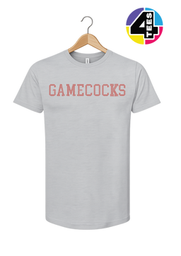 Gamecocks Spangle Football Tee