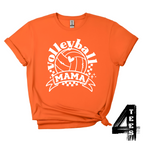Orange / X-Small